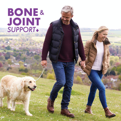 BlueBonnet Glucosamine Chondroitin Plus MSM | Bone & Joint Support (180 Veg Capsules)