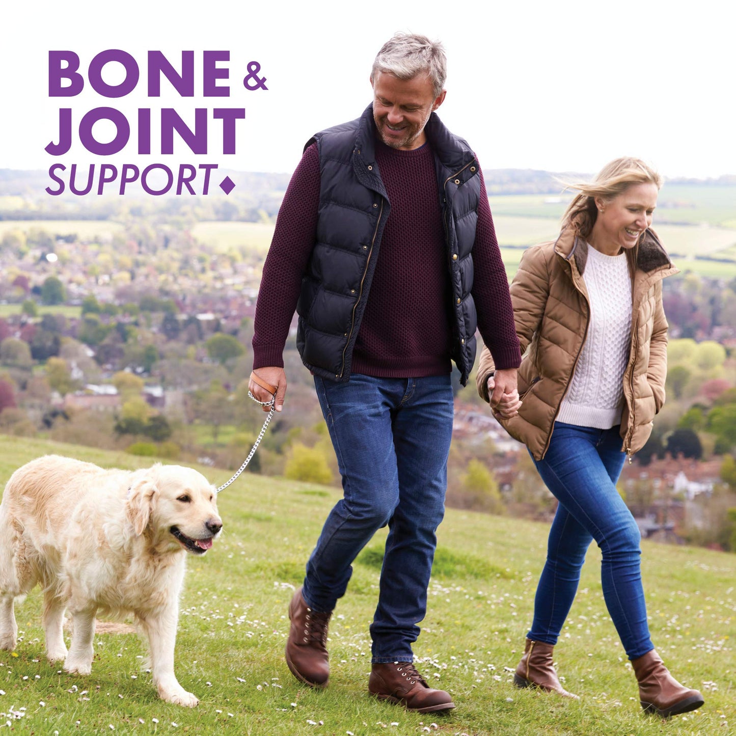 BlueBonnet Glucosamine Chondroitin Plus MSM | Bone & Joint Support (180 Veg Capsules)