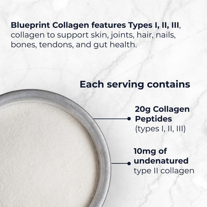 Blueprint Bryan Johnson Hydrolyzed Collagen Peptides Powder – Type I, II & III, Unflavored, 20g, 30 Servings
