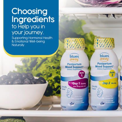 Blues Away Postpartum Mood Support Drink – 3-Day Shake Kit (4 Bottles)
