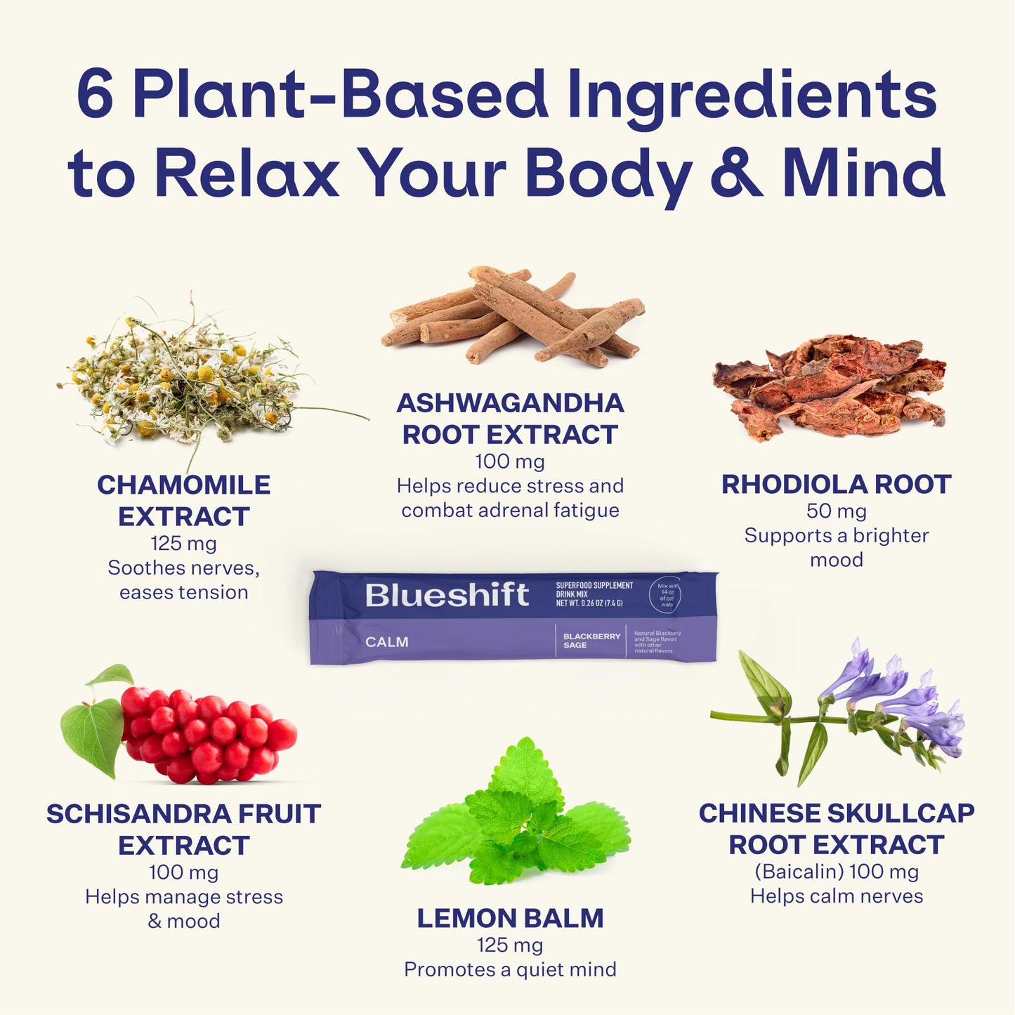 Blueshift Stress Relief Drink Mix - Blackberry Sage (Zero-Sugar, 10 ct) with Ashwagandha, L-Theanine & GABA