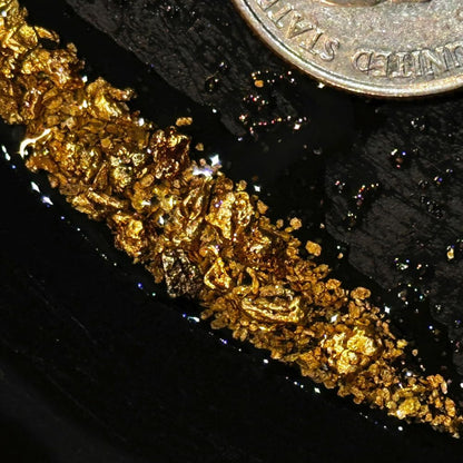 Bobby Nugget Gold Paydirt – Authentic California Pay Dirt with Lucky’s Bonus Bag