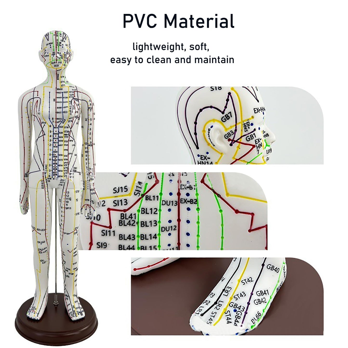 Body Acupuncture Model 20.5in – English Points & Meridians (Female)