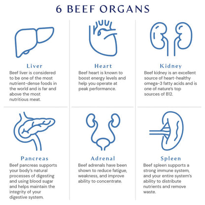 BodyHealth Organ+ Grass-Fed Glandular Complex – Grass-Fed Beef Organ Supplement (150 Capsules)