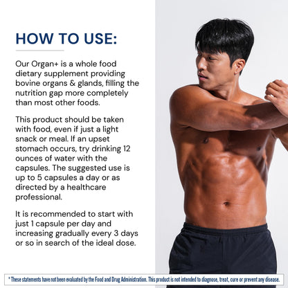 BodyHealth Organ+ Grass-Fed Glandular Complex – Grass-Fed Beef Organ Supplement (150 Capsules)