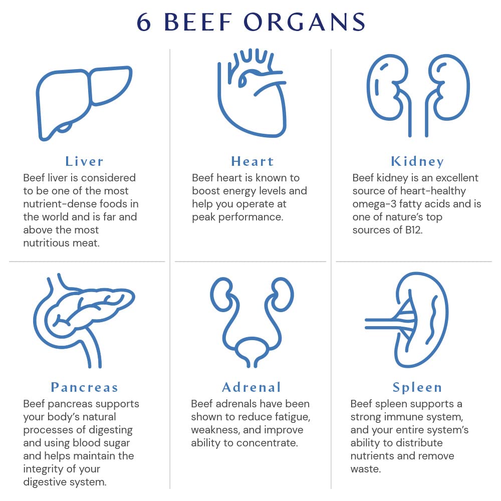 BodyHealth Organ+ Grass-Fed Glandular Complex – Grass-Fed Beef Organ Supplement (150 Capsules)