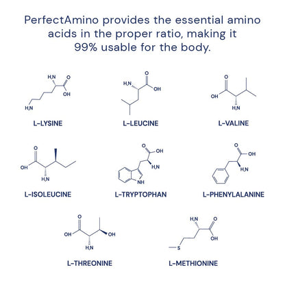 BodyHealth PerfectAmino 150 ct – Easy-to-Swallow Vegan Amino Acids with BCAAs for Muscle Recovery