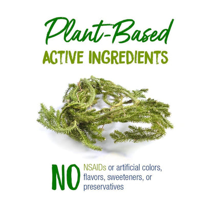 Boiron Lycopodium Clavatum 30C Pellets for Gas & Bloating – 240 Pellets in 3 Tubes