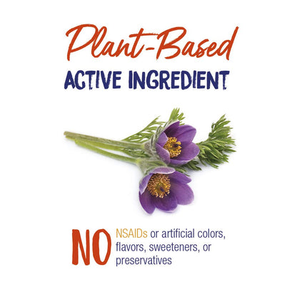 Boiron Pulsatilla 30C Cold & Congestion Relief Pellets - 240 Pellets