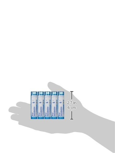 Boiron Rhus Toxicodendron 6C – 5-Pack, 80 Pellets | Joint Pain Relief
