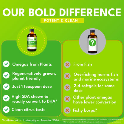 Bold Botanica Plant Omega 3-6-9 with Ahiflower Oil – Vegan, Non-GMO, 4 oz