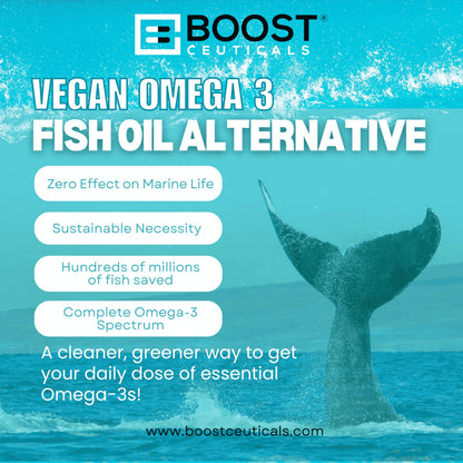 BoostCeuticals Vegan Omega 3 Supplement 500mg DHA EPA Vegan Softgels - No Stearates Non GMO Gluten Free | 60 Ct Heart and Brain Health