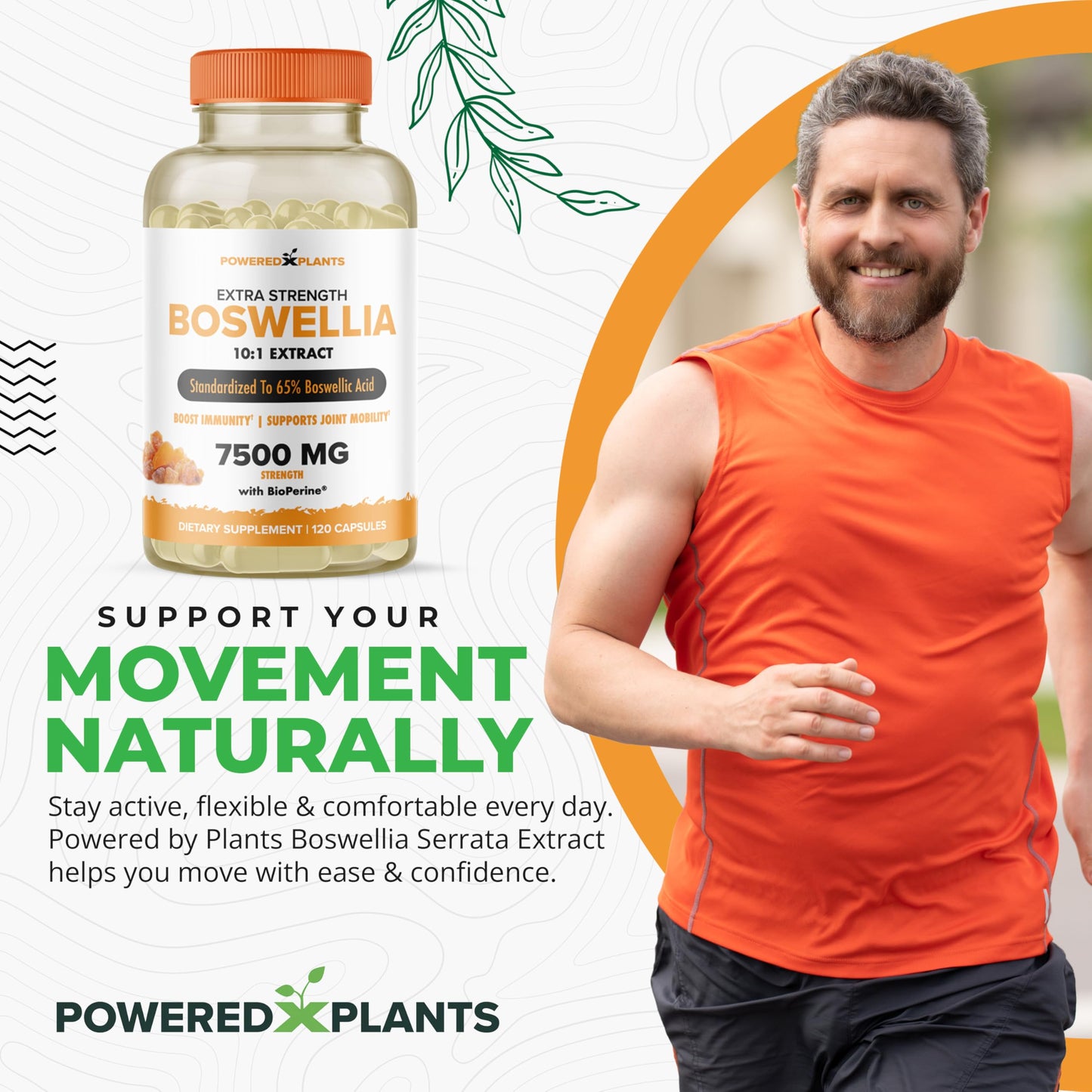Boswellia Serrata Extract Joint Support – Powered by Plants | 65% Boswellic Acids + BioPerine | 120 Vegan Capsules
