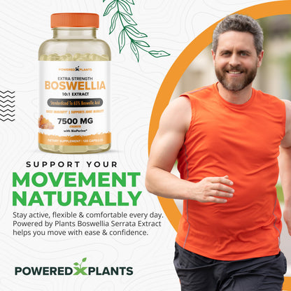Boswellia Serrata Extract Joint Support – Powered by Plants | 65% Boswellic Acids + BioPerine | 120 Vegan Capsules