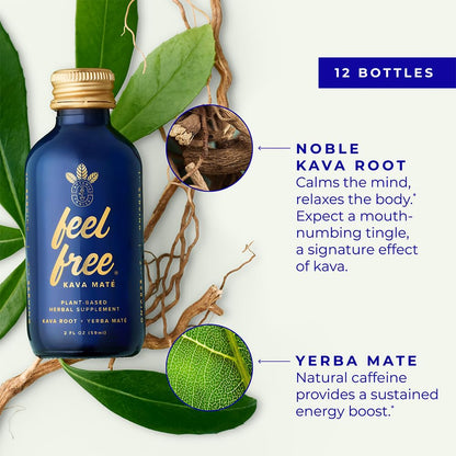 Botanic Tonics Kava Mate - Natural Energy with Kava Root & Yerba Mate | 12-Pack (24 Servings)