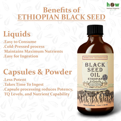 Black Seed Oil 8 oz – Cold Pressed Ethiopian Nigella Sativa (3X Thymoquinone) in Glass