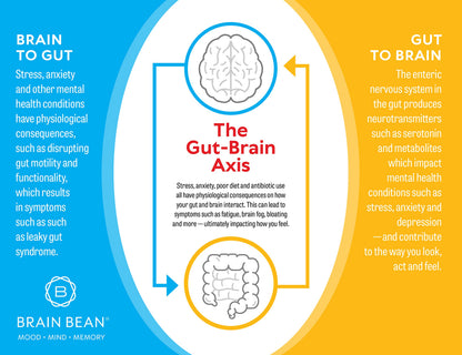 Brain Basics Ultra Pure IgG Supplement – Dairy-Free IgG-Immunolin Powder, 150g, 60 Servings