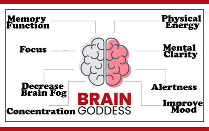 Warped Wellness Brain Goddess – Female Brain & Memory Support Supplement