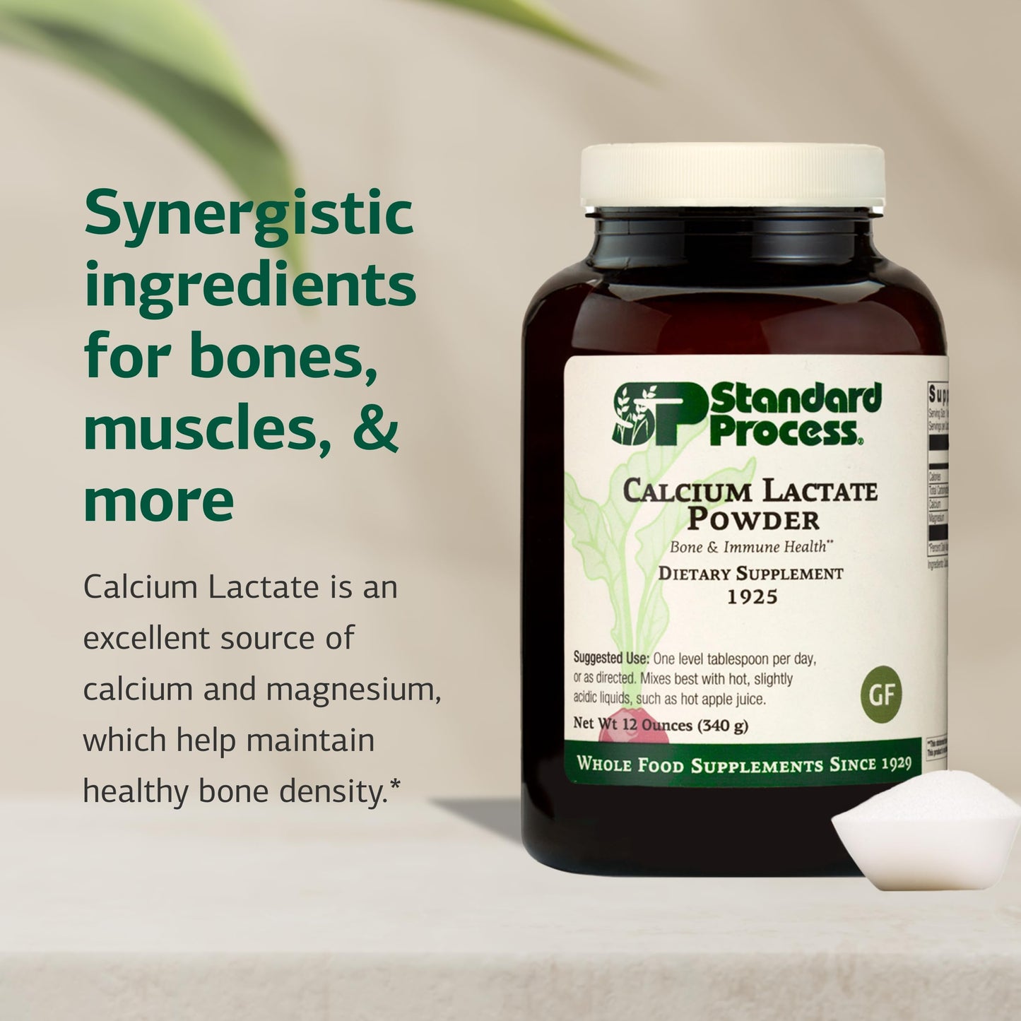 Standard Process Calcium Lactate Powder – Bone Health & Immune Support, Non-Dairy, Gluten-Free, 12 oz