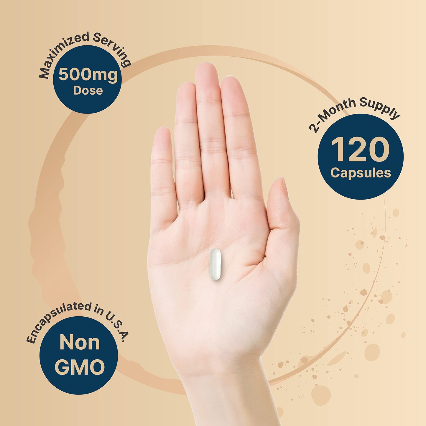 NatureBell Citicoline 500mg + Tyrosine 50mg – 120 Capsules | Dual Action Brain Support
