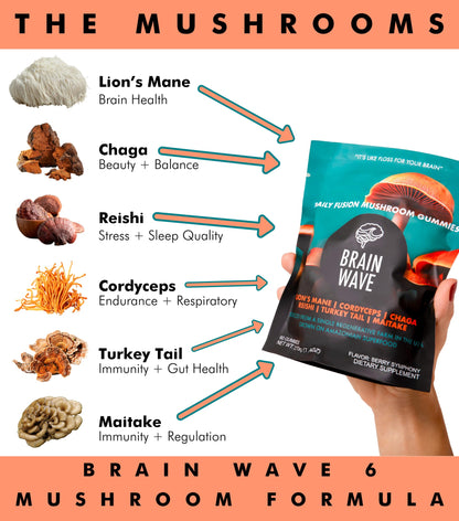 Superfood Mushroom Gummies – 2,008 mg Multi Lions Mane, Reishi, Cordyceps