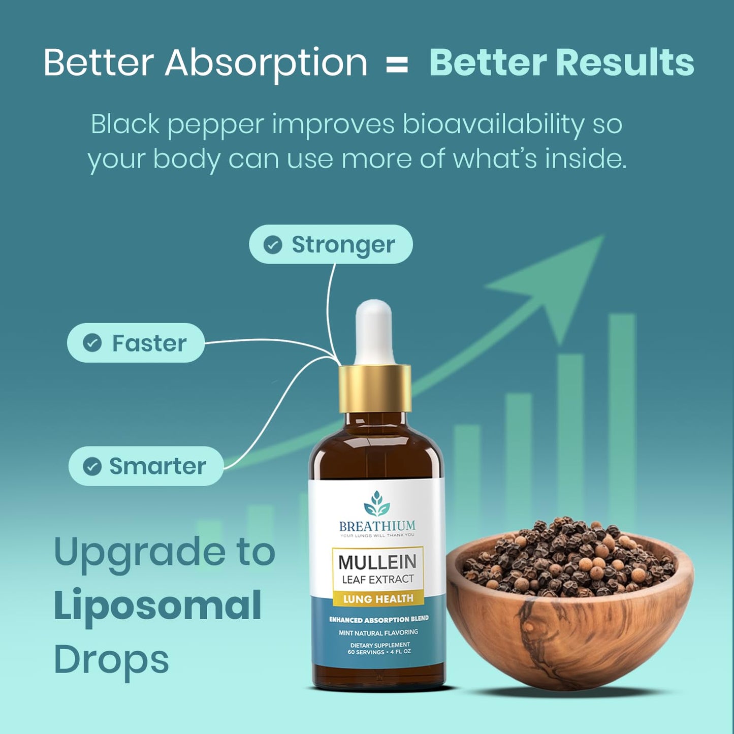 Breathium 4-in-1 Mullein Drops for Lungs & Gut Health – Liposomal Extract