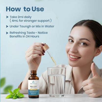 Breathium 4-in-1 Mullein Drops for Lungs & Gut Health – Liposomal Extract