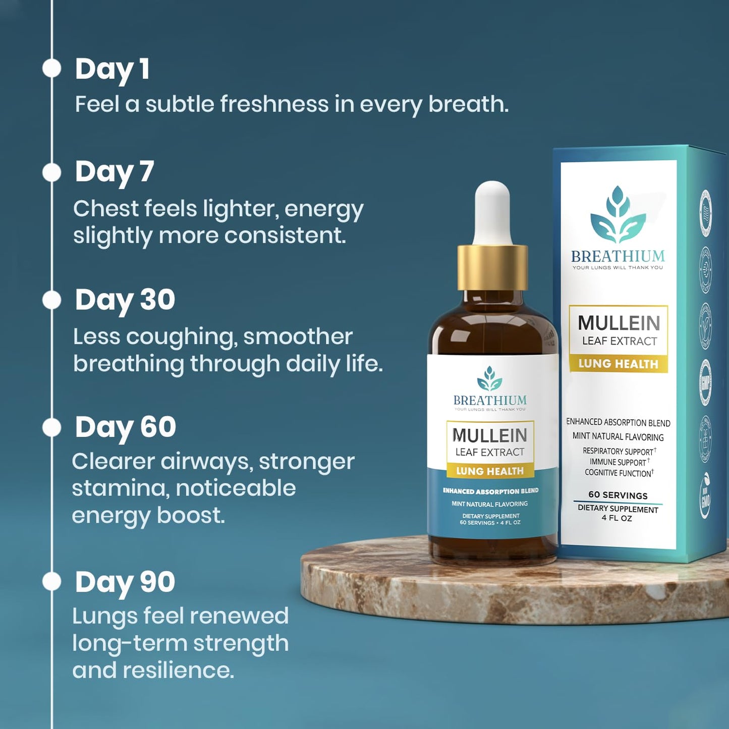 Breathium 4-in-1 Mullein Drops for Lungs & Gut Health – Liposomal Extract