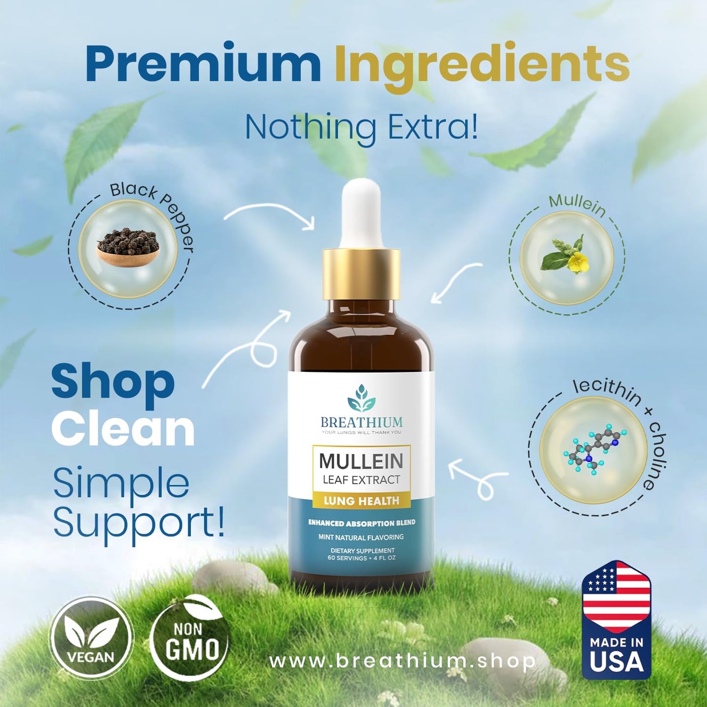 Breathium 4-in-1 Mullein Drops for Lungs & Gut Health – Liposomal Extract