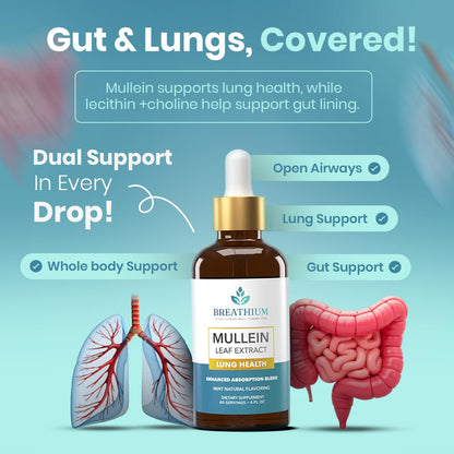 Breathium 4-in-1 Mullein Drops for Lungs & Gut Health – Liposomal Extract