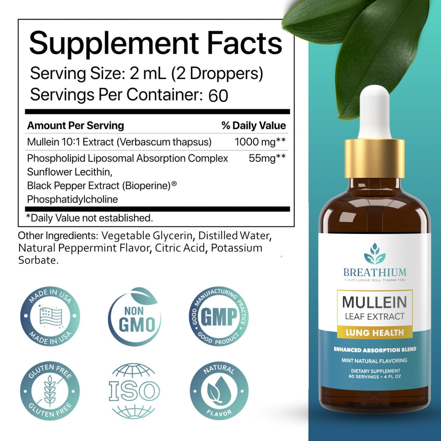 Breathium 4-in-1 Mullein Drops for Lungs & Gut Health – Liposomal Extract