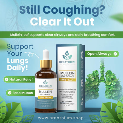 Breathium 4-in-1 Mullein Drops for Lungs & Gut Health – Liposomal Extract