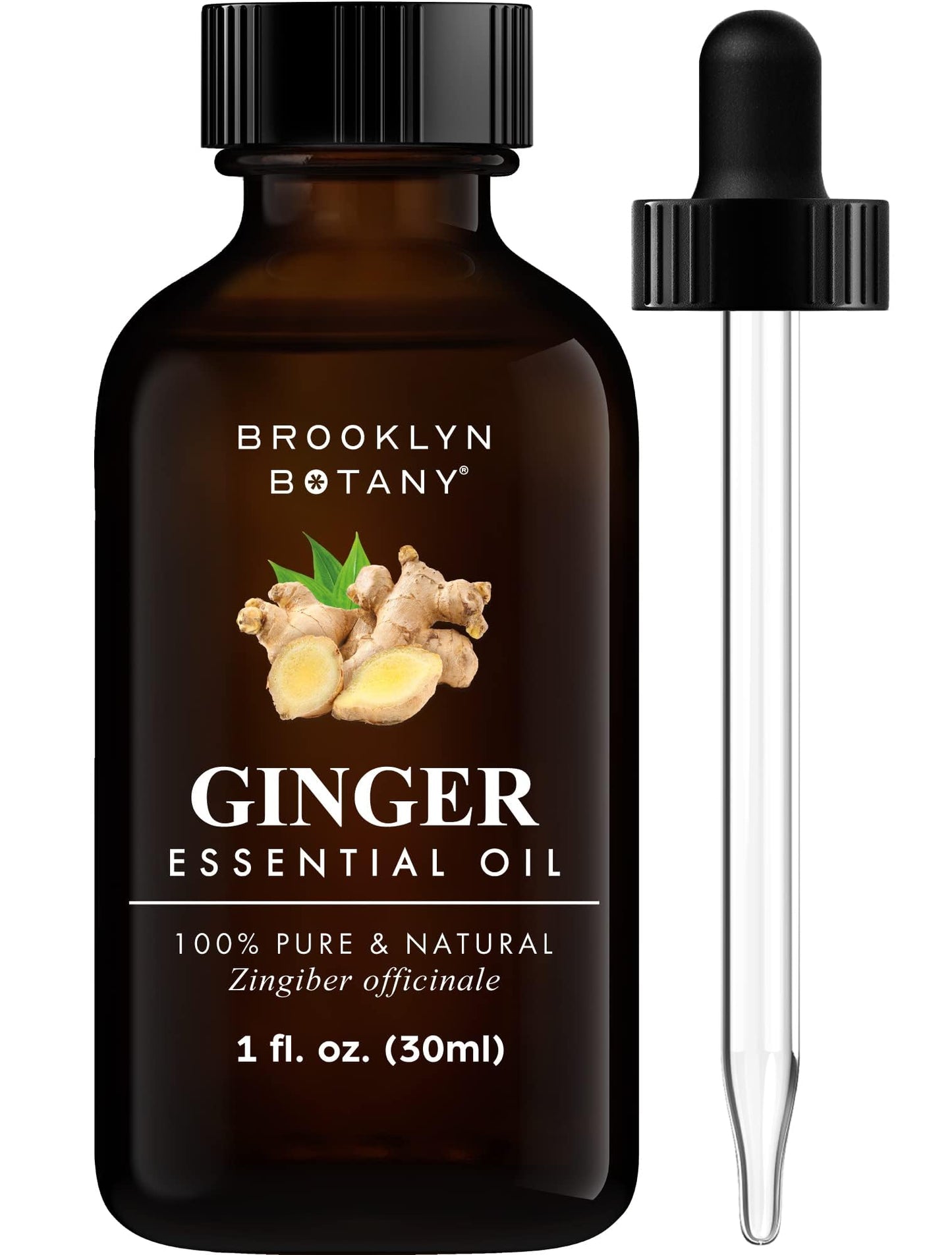 Brooklyn Botany Ginger Essential Oil – 100% Pure & Natural, Premium Grade, 1 Fl Oz