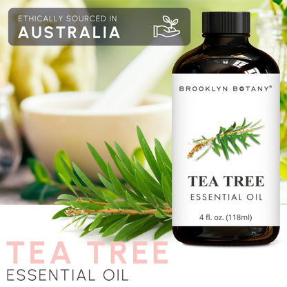 Brooklyn Botany Tea Tree Essential Oil - 4 fl oz - 100% Pure & Natural Premium Grade with Dropper