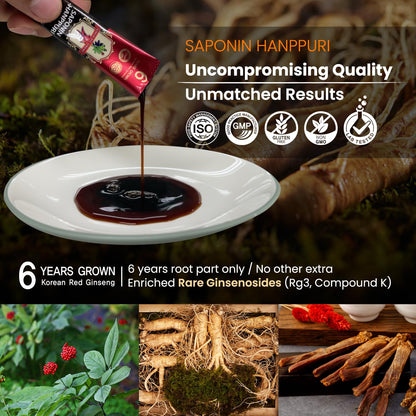 BTGIN Korean Red Ginseng Extract 3000mg – Immune Support & Focus