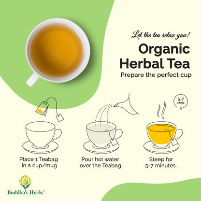 Buddha's Herbs Echinacea Tea – Immune Support with Zinc, Turmeric & Ginger (2 Pack)