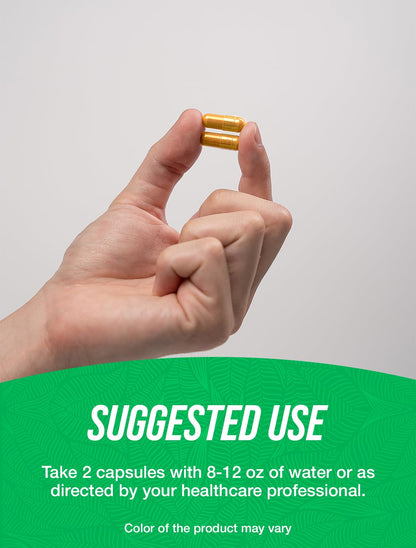 Turmeric Extract Capsules 1000mg – 120 Veg Caps, Gluten Free | BulkSupplements