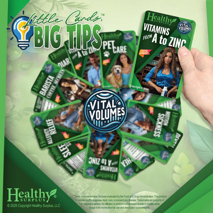 Equate Mint Flossers 150 Count & Vital Volumes Dental Tips Card Bundle | Dental Hygiene