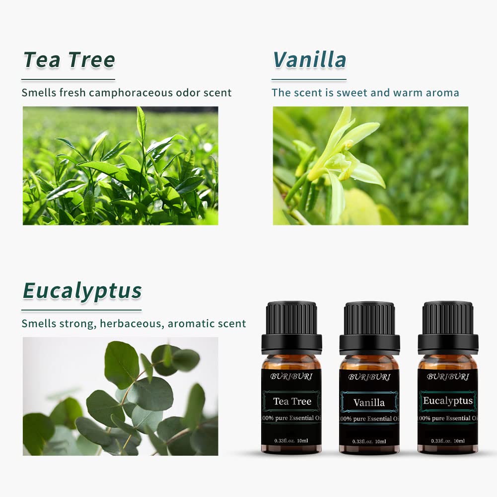 BURIBURI Tea Tree, Eucalyptus & Vanilla Essential Oil Set – 3x10ml, 100% Pure