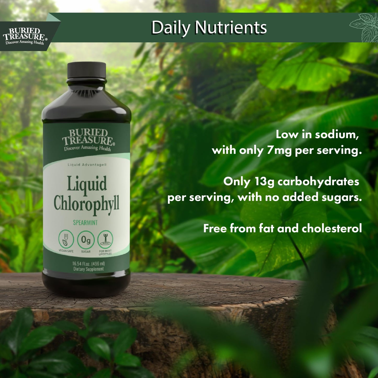 Buried Treasure Liquid Chlorophyll 100 mg – Energy & Immune Support, Detox (Spearmint, 16 oz)