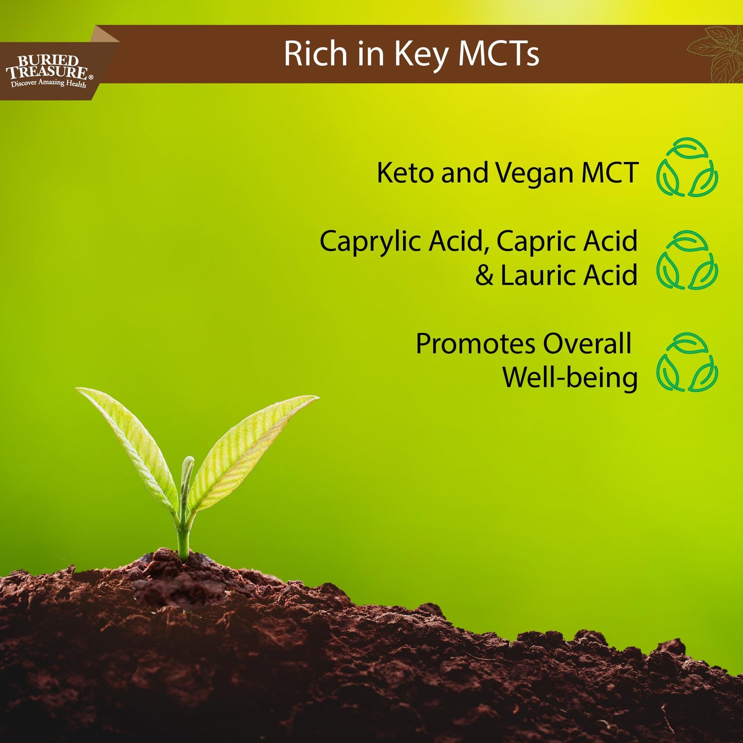 Buried Treasure MCT Coconut Oil - 16.54 Fl Oz (Pack of 1) | Cold-Pressed MCT Oil