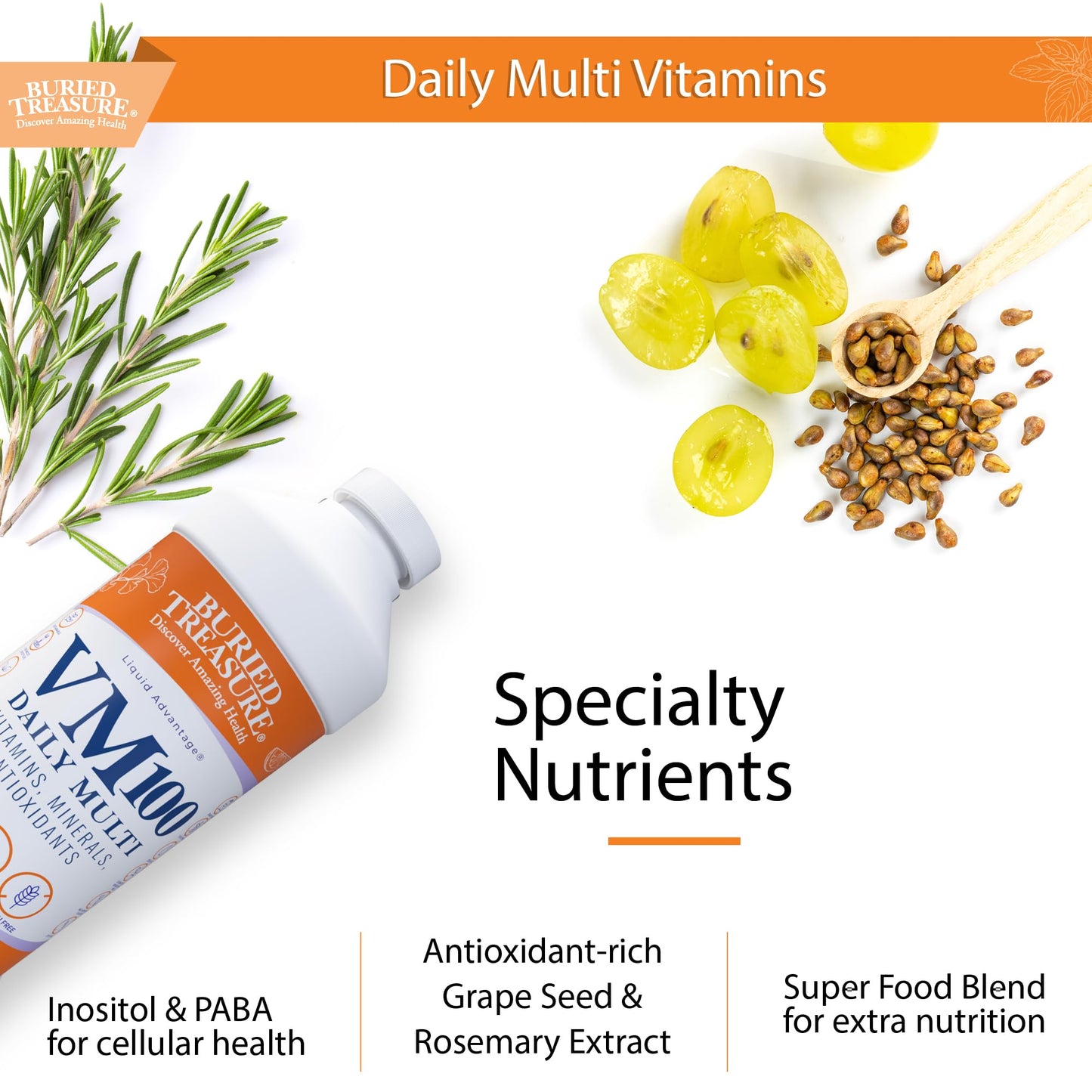 Buried Treasure VM100 Liquid Vitamins & Minerals with Antioxidants – 32 oz (32 Servings)