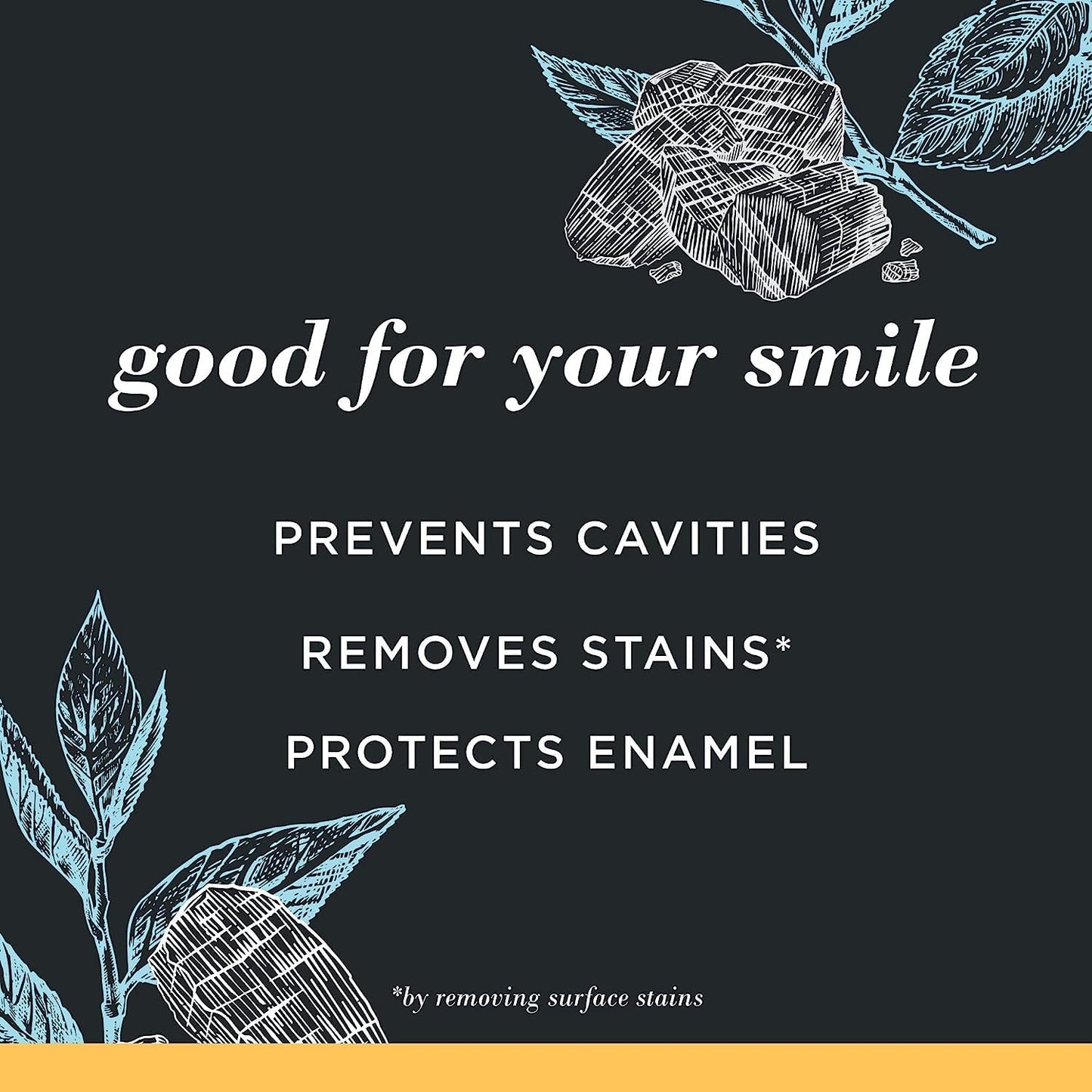 Burt's Bees Charcoal Toothpaste with Fluoride – Mountain Mint, 3 x 4.7 oz (SLS-Free, Not Tested on Animals)