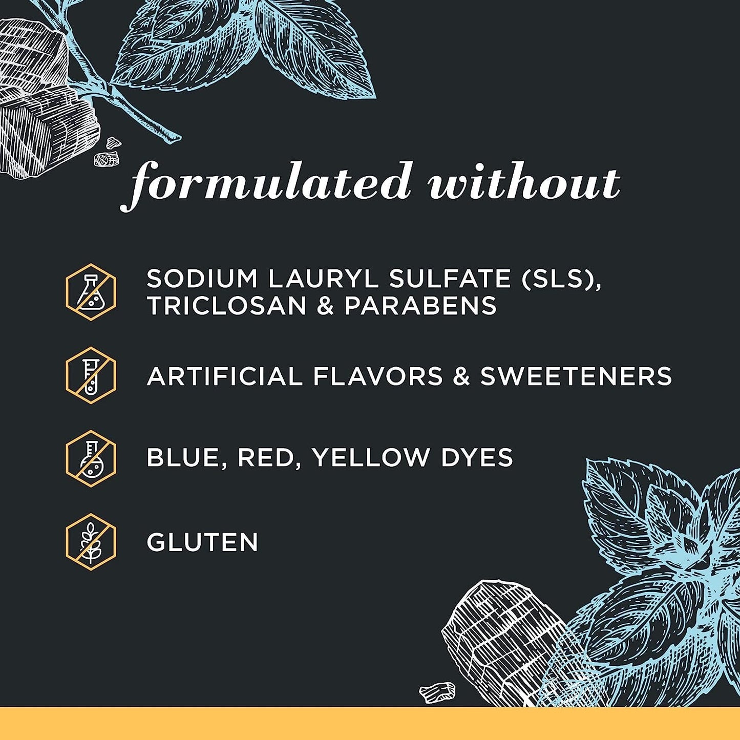 Burt's Bees Charcoal Toothpaste with Fluoride – Mountain Mint, 3 x 4.7 oz (SLS-Free, Not Tested on Animals)