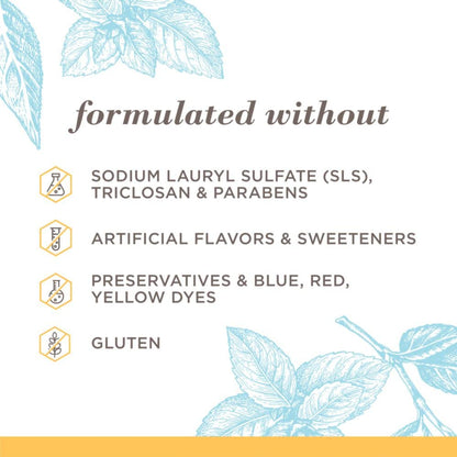 Burt's Bees Toothpaste with Fluoride – Extra White Zen Peppermint 4.7 oz (14) | ADA Accepted