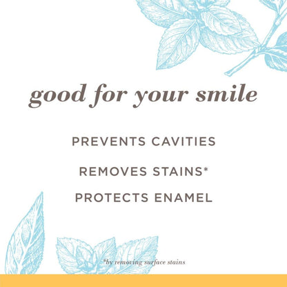 Burt's Bees Toothpaste with Fluoride – Extra White Zen Peppermint 4.7 oz (14) | ADA Accepted