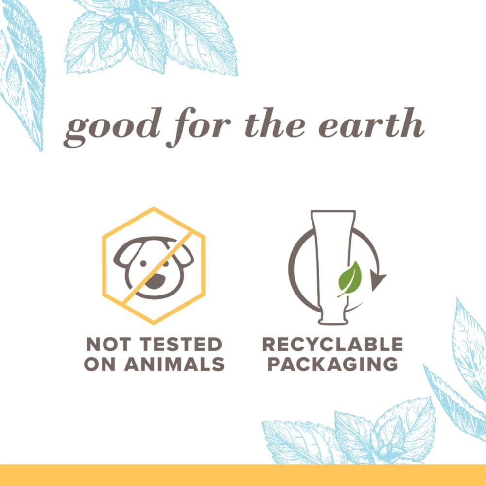 Burt's Bees Toothpaste with Fluoride – Extra White Zen Peppermint 4.7 oz (14) | ADA Accepted