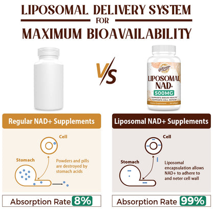 Caenciennes Liposomal NAD+ 500 mg Supplement — True NAD+, Superior Absorption, 240 Servings