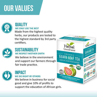 Guava Leaf Tea – 24 Bags, 100% Organic Guava Leaves | Immune Support