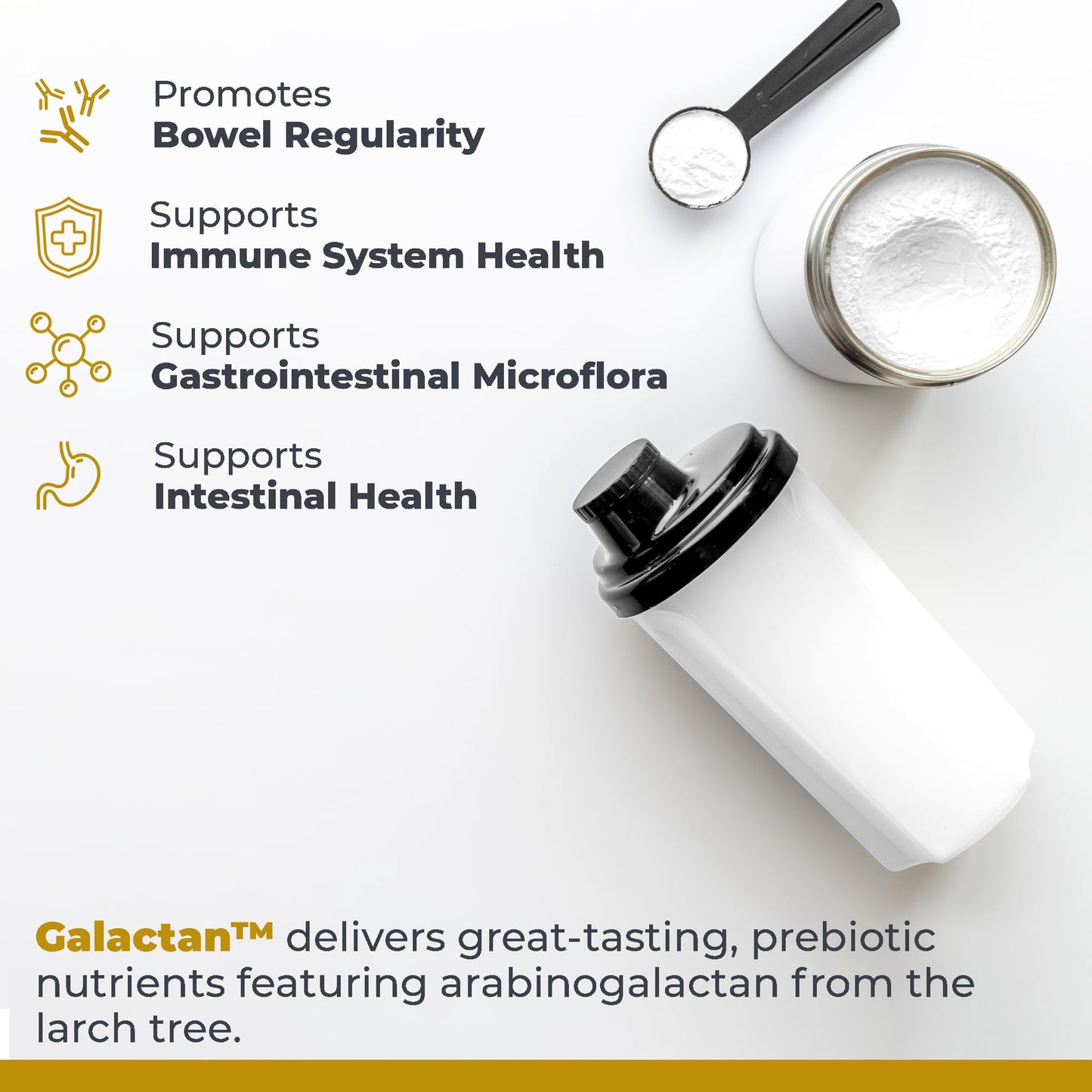 Premier Research Labs Galactan - Larch Arabinogalactan Powder, Prebiotic Fiber 8 oz